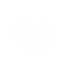 nieve1